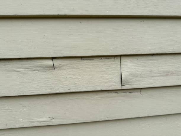 Best Fiber Cement Siding Installation  in Keshena, WI